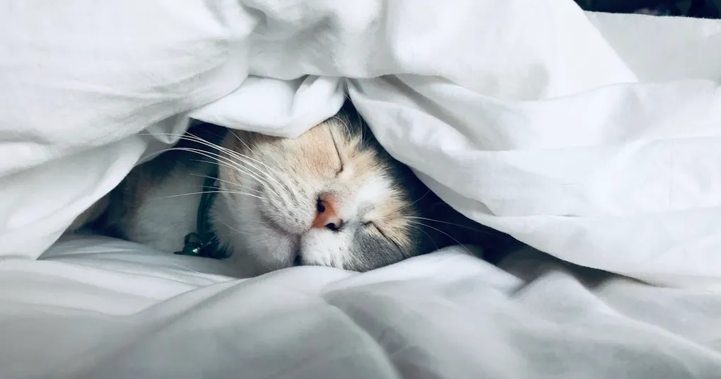 Dormir menos com a idade é normal? O que muda e o que preocupa