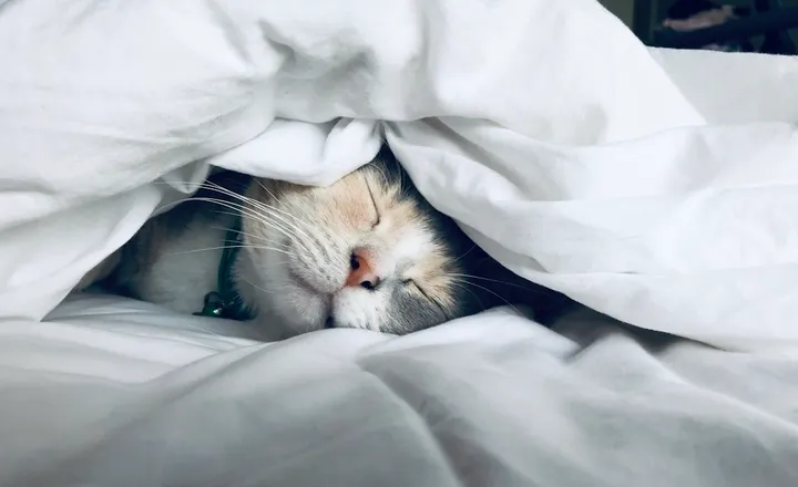 Dormir menos com a idade é normal? O que muda e o que preocupa